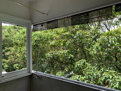 Braddell View (D20), Apartment #253220781